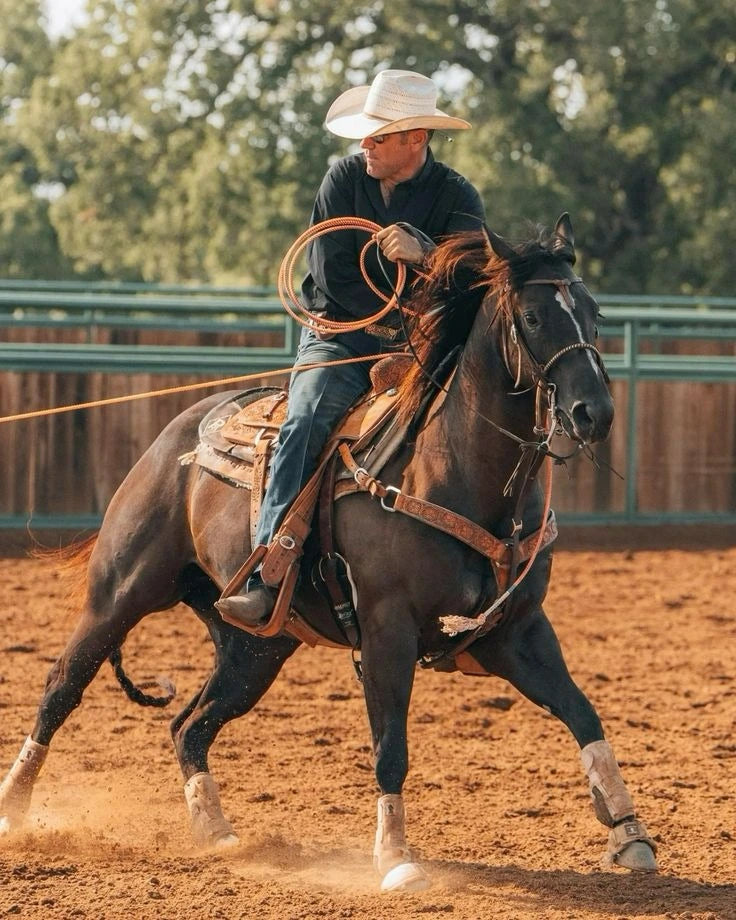 Rider and horse